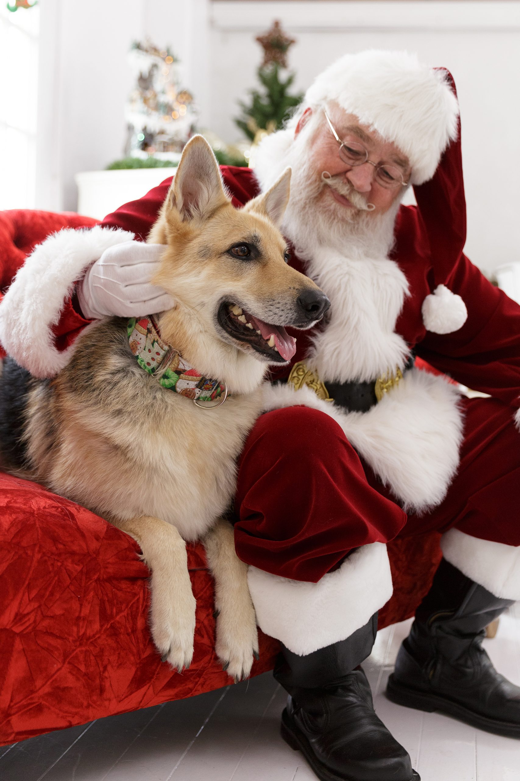 The Santa Experience-14