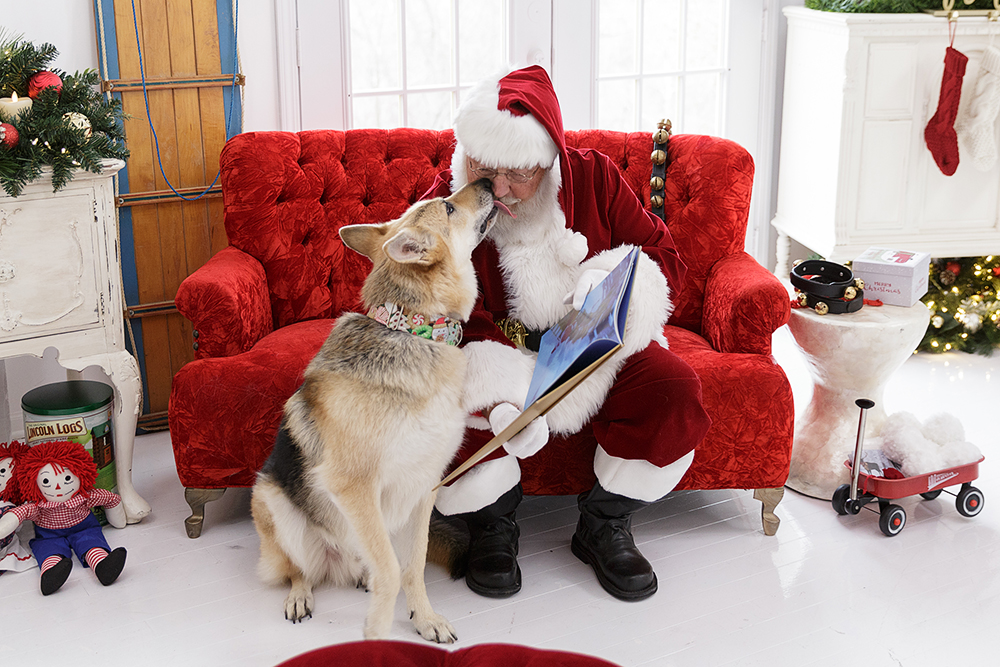 The Santa Experience-13