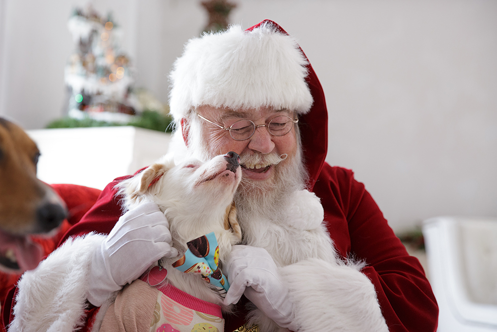 The Santa Experience-5