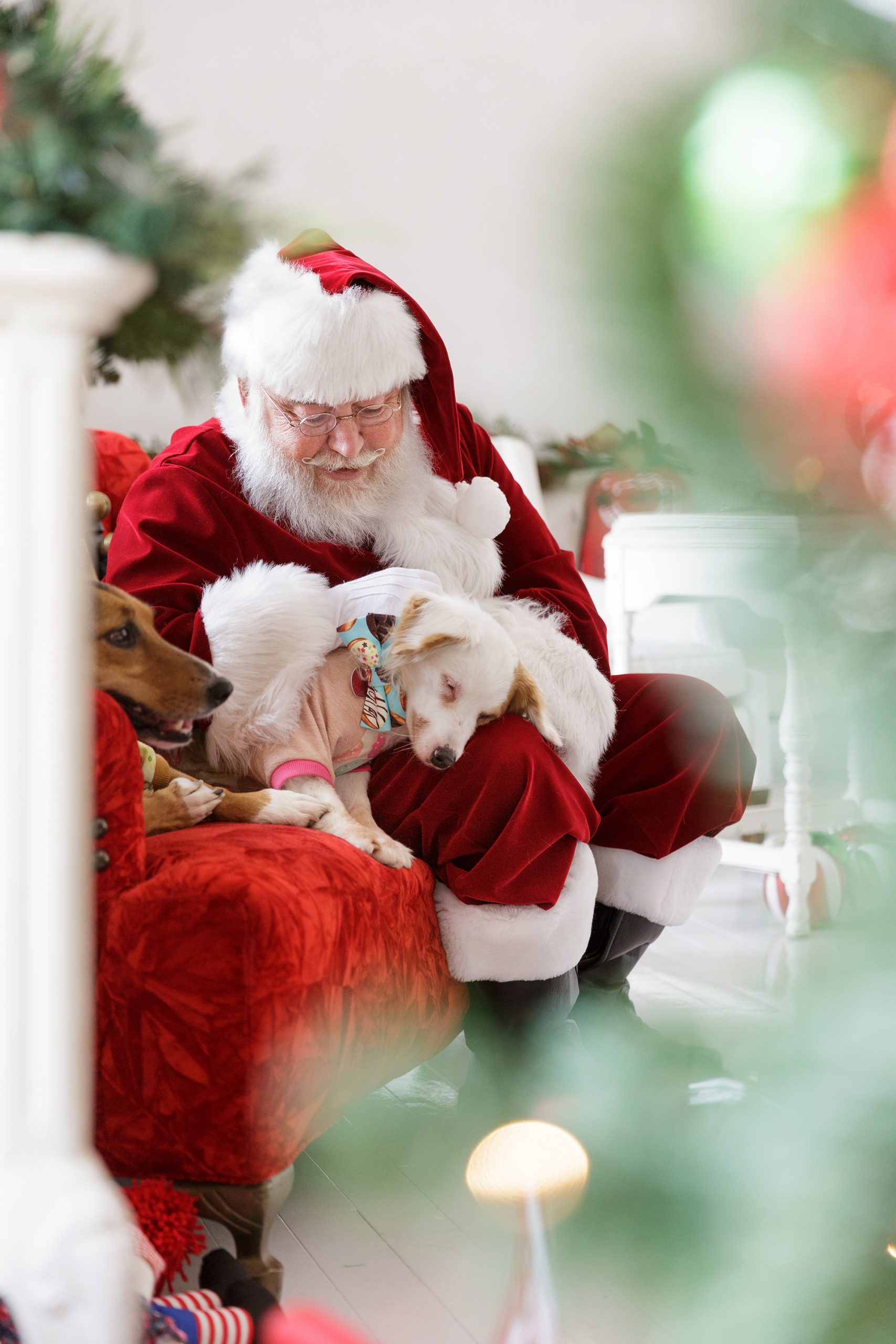 The Santa Experience-7